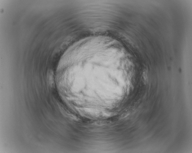 X0000073740963200608311906