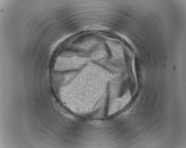 X0000073740971200608311906
