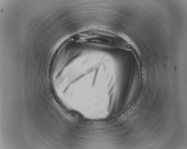 X0000073740972200608311906