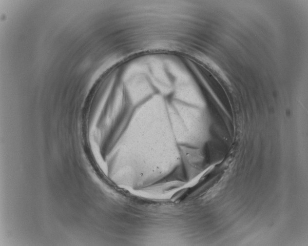 X0000073740991200608311905