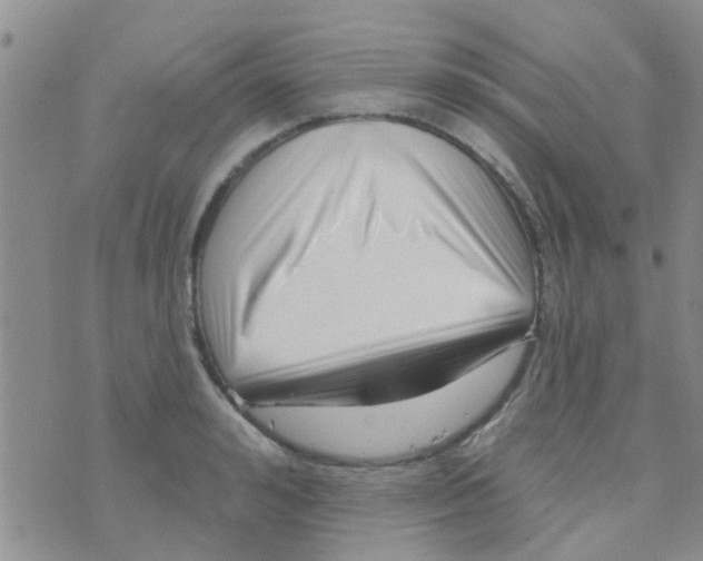 X0000073740992200608311905