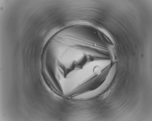X0000073740999200608311905