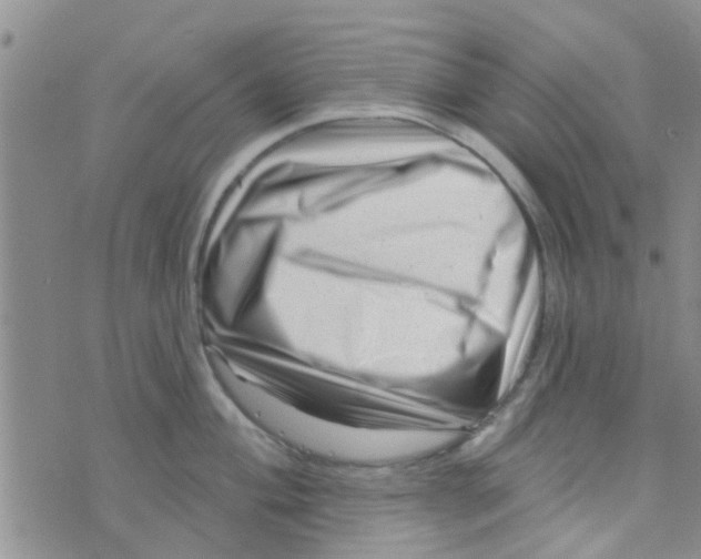 X0000073741004200608311905