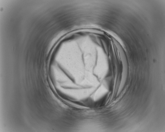 X0000073741006200608311905