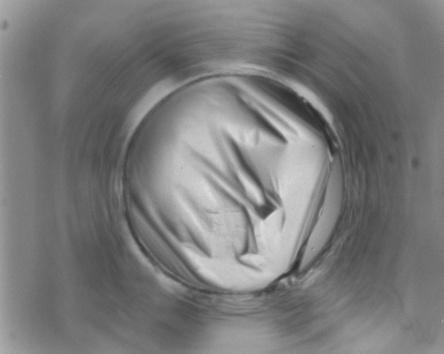 X0000073741007200608311905