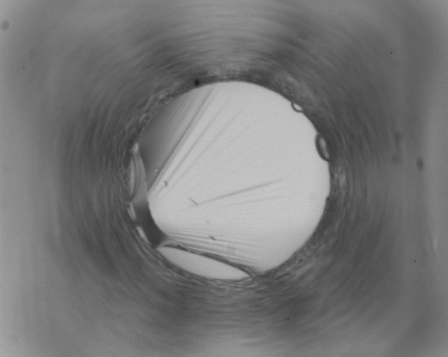 X0000073741012200608311904