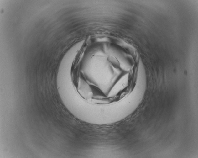 X0000073741013200608311904