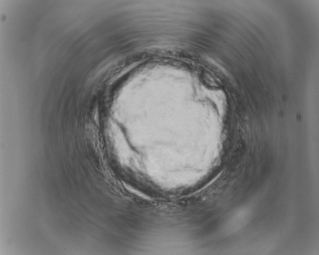 X0000073741015200608311904