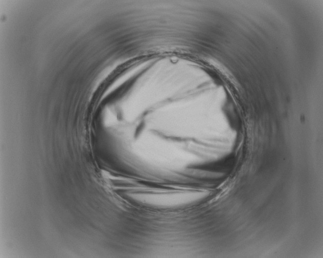 X0000073741023200608311905
