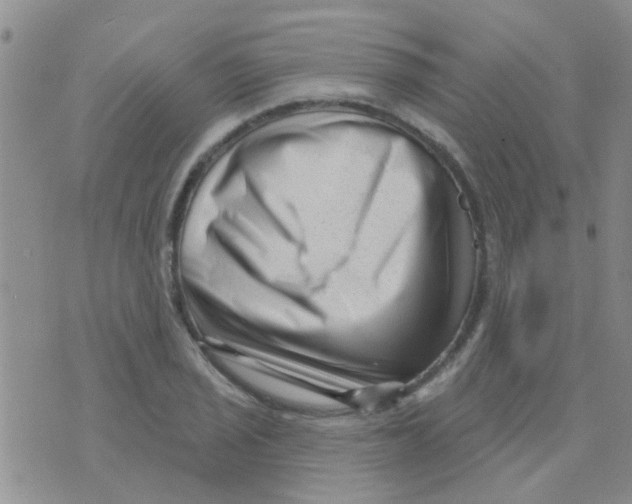 X0000073741029200608311905