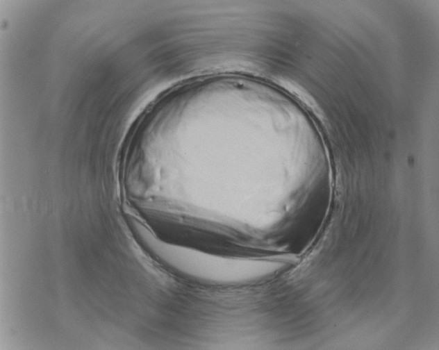 X0000073741031200608311905