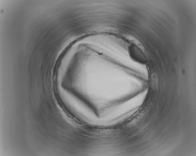 X0000073741039200608311905