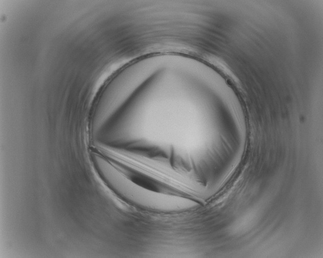 X0000073741040200608311905