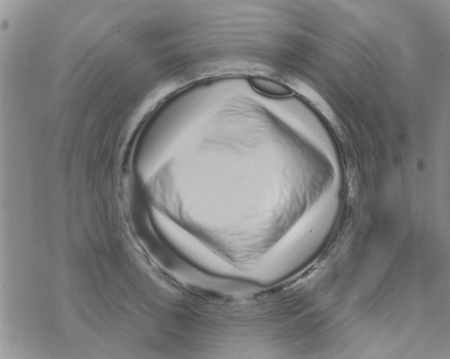 X0000073741043200608311905