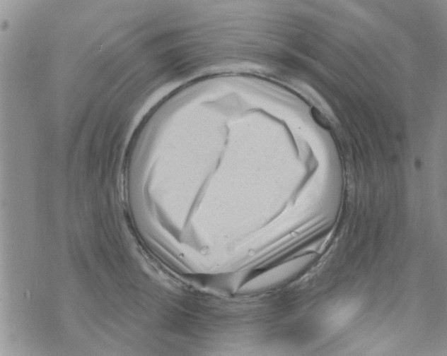 X0000073741044200608311905