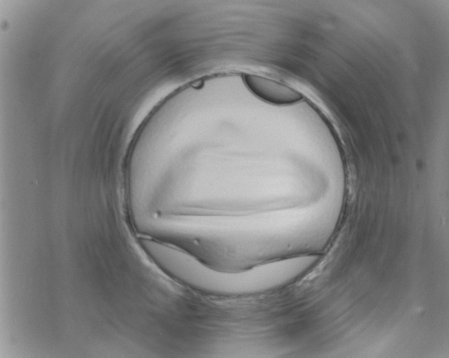 X0000073741048200608311905