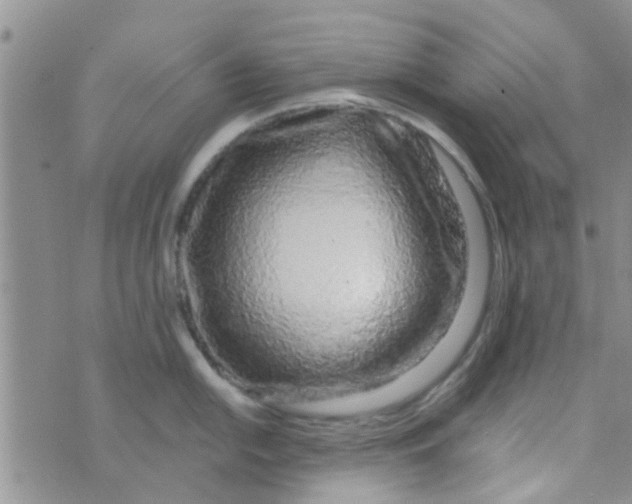 X0000073741054200608311905
