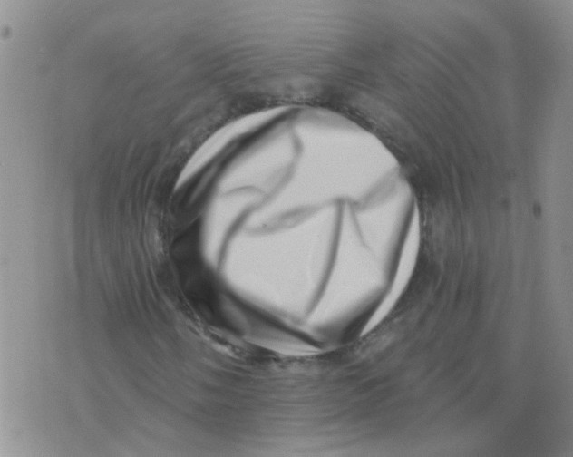 X0000073741058200608311904