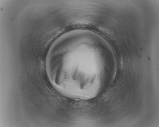 X0000073741061200608311904