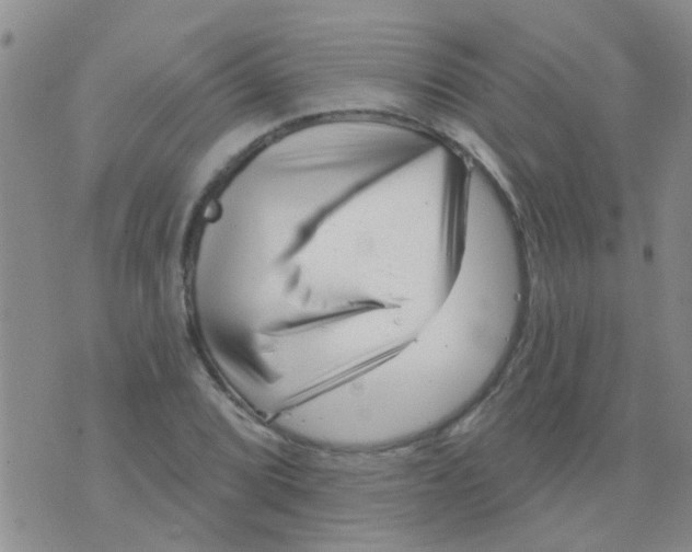 X0000073741072200608311904