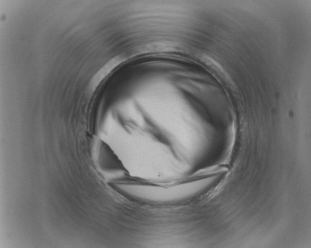 X0000073741081200608311904