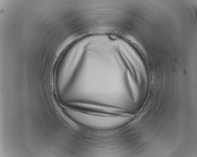 X0000073741083200608311904