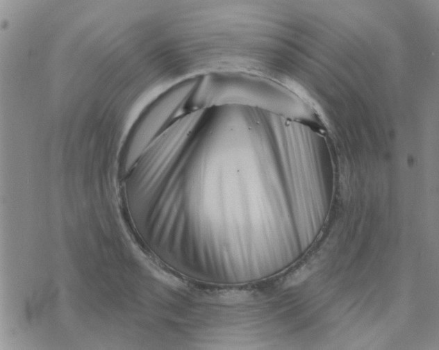 X0000073741085200608311904