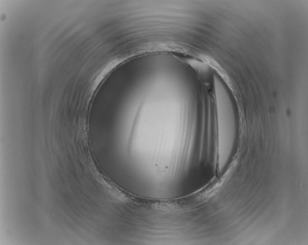 X0000073741089200608311904