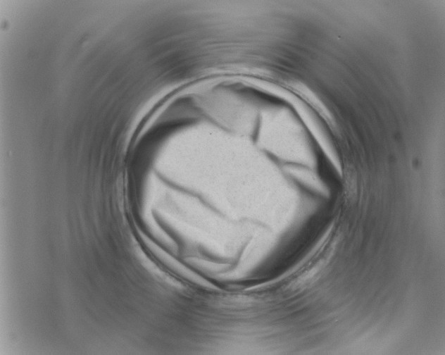 X0000073741100200608311904