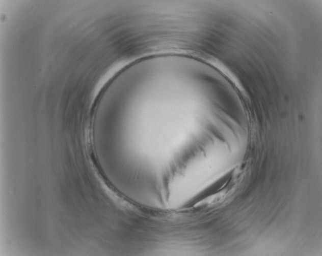 X0000073741101200608311904