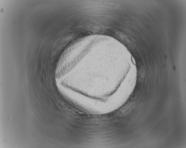 X0000073741105200608311903