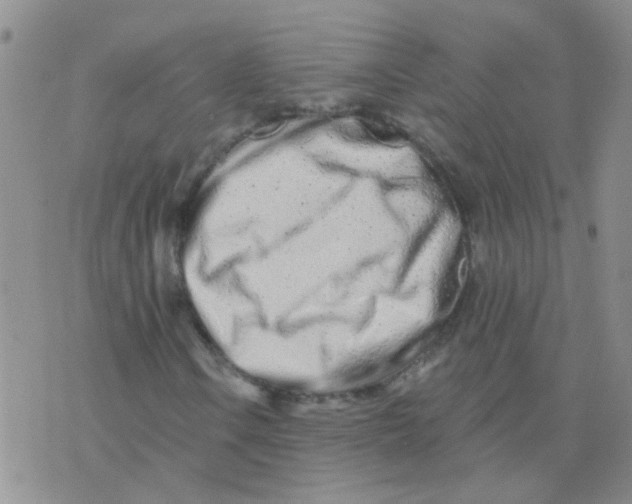 X0000073741106200608311903