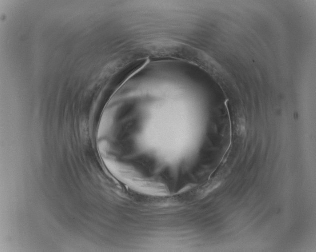 X0000073741108200608311903