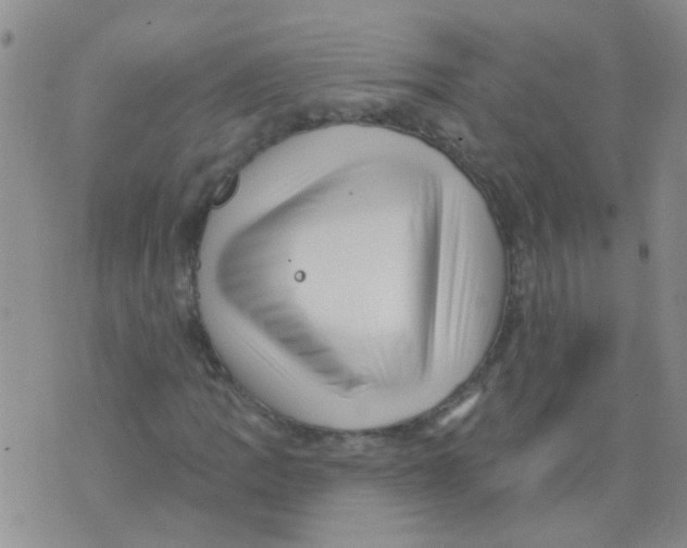 X0000073741109200608311903