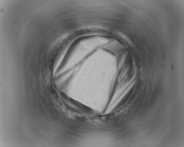X0000073741111200608311903