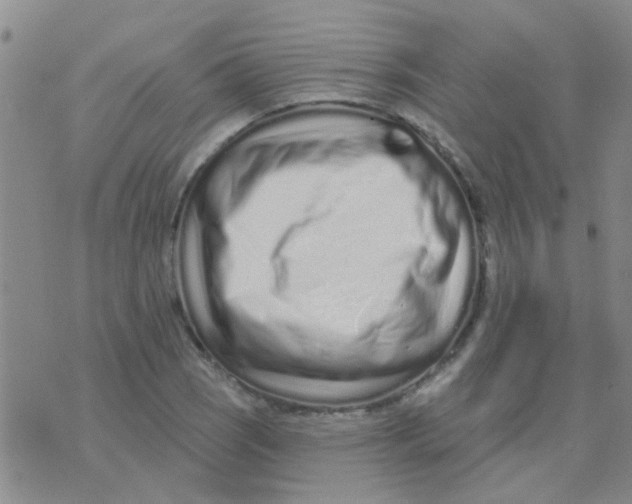 X0000073741121200608311903