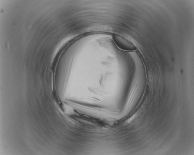 X0000073741123200608311903