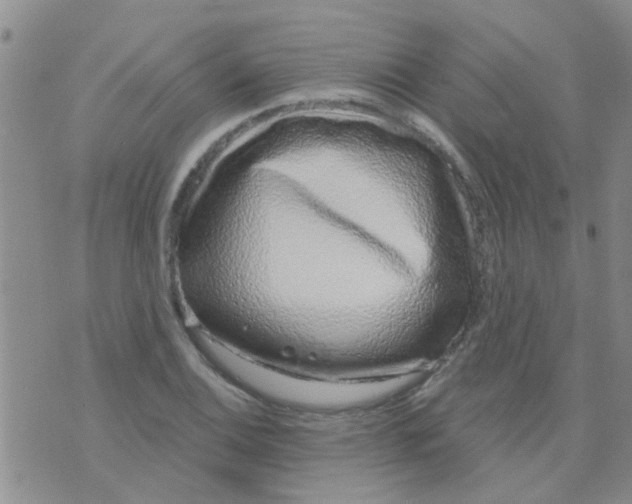 X0000073741124200608311903