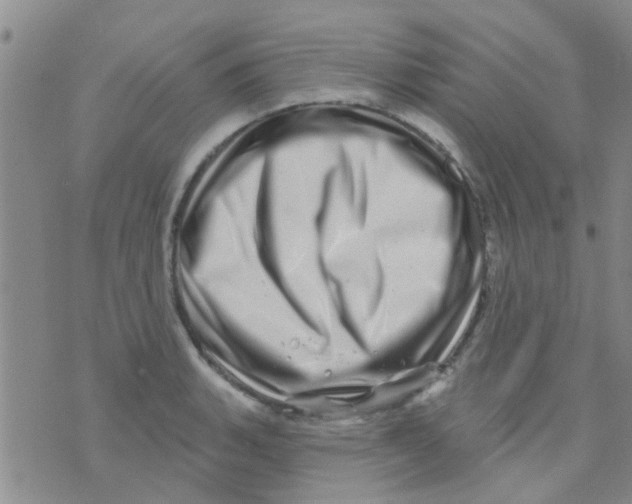 X0000073741135200608311903