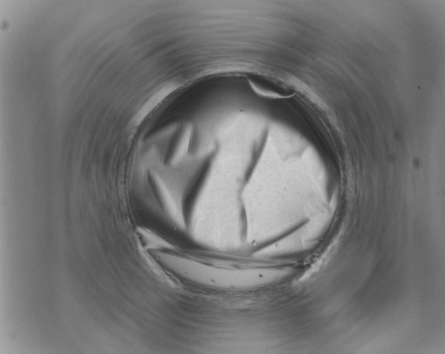 X0000073741137200608311903
