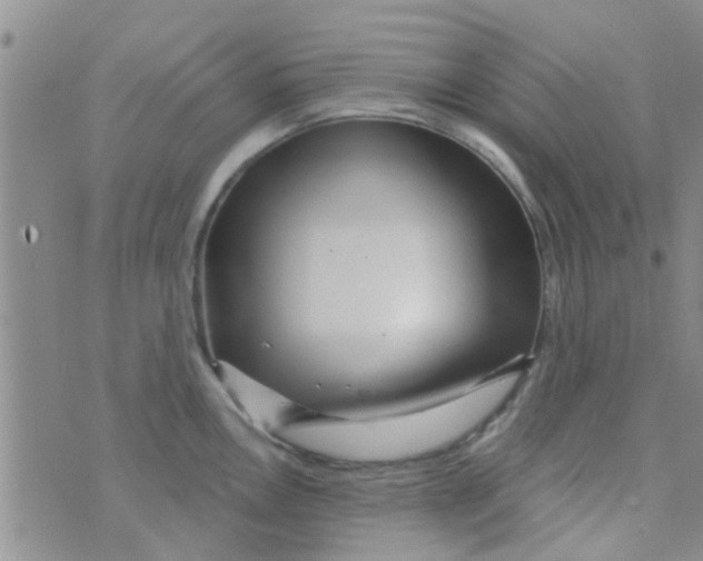 X0000073741146200608311903