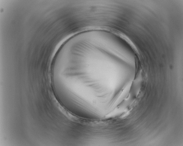 X0000073741148200608311903