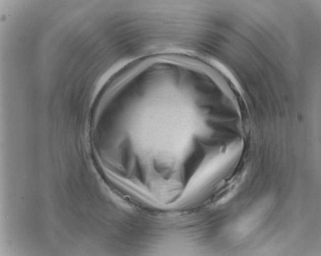 X0000073741149200608311903