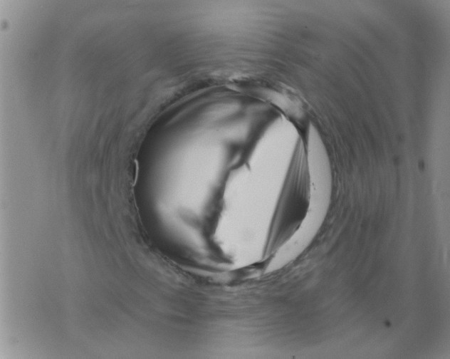 X0000073741153200608311903
