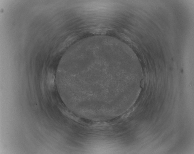 X0000073741154200608311903