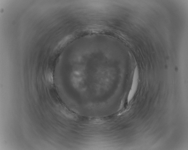 X0000073741155200608311903