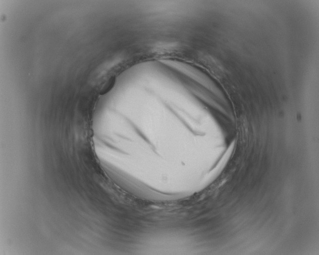 X0000073741158200608311903