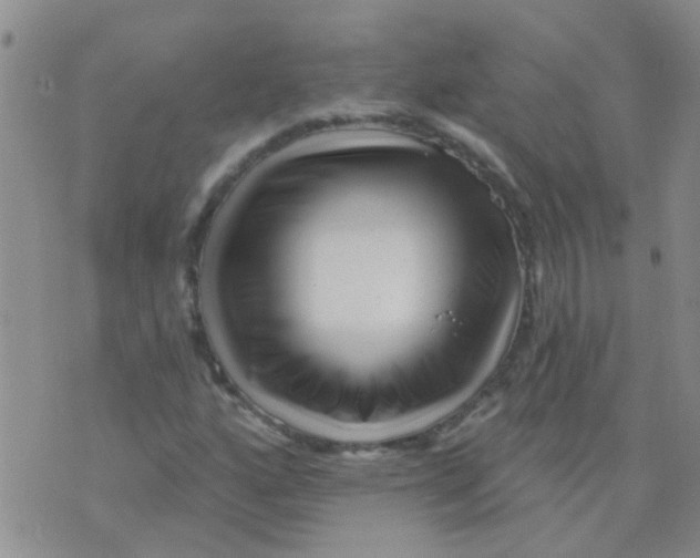 X0000073741160200608311903