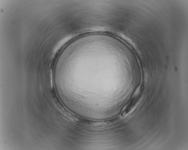 X0000073741171200608311902