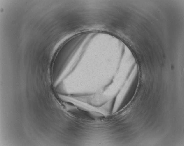X0000073741174200608311902